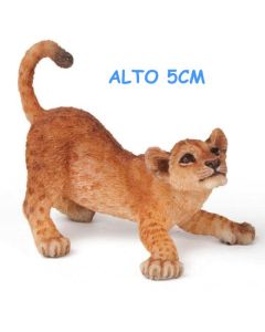 50126 LEONCINO GIOCOSO