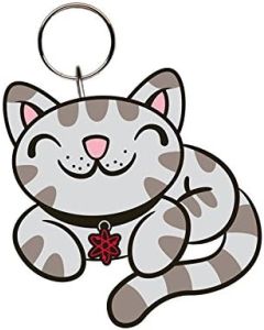 GB Eye Keyring Portachiavi The Big Bang Theory Kitty