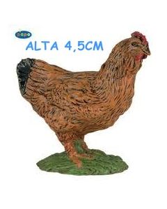51018 GALLINA MARRONE