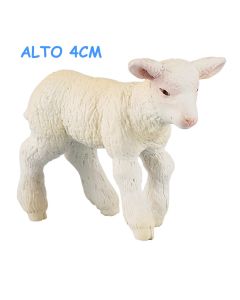 51047 AGNELLO MERINOS