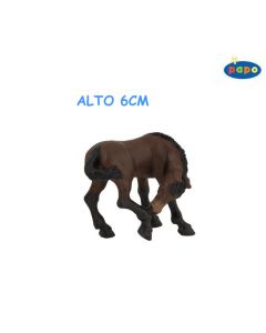 51114 PULEDRO LUSITANO