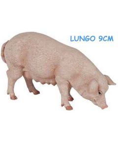51135 SCROFA NUOVA