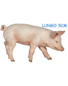 51137 MAIALINO NUOVO