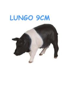 51138 SCROFA BIANCO NERA