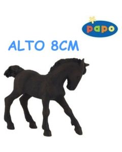 51502 PULEDRO FRISONE