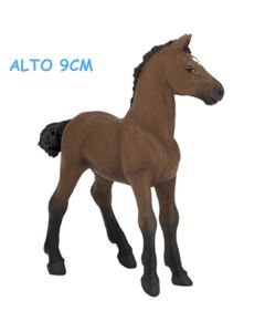 51504 PULEDRO PUROSANGUE INGLESE