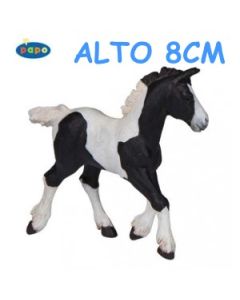 51508 PULEDRO DA TIRO NERO