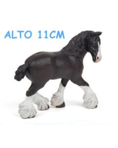 51515 CAVALLA SHIRE NERA