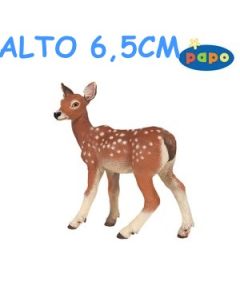 53015 CERBIATTO NUOVO