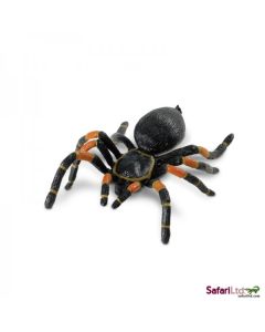 542006 ORANGE KNEED TARANTULA