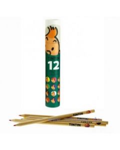 Tintin Cartoleria 54783  Tintin colouring pencils Green box