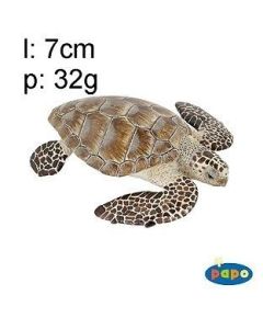 56005 TARTARUGA MARINA