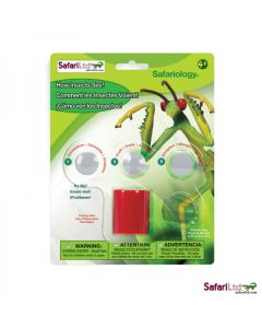 656916 HOW INSECTS SEE