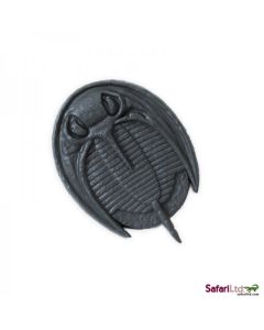 662916 TRILOBITE FOSSIL