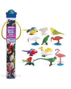 680404 EXOTIC BIRDS UCCELLI ESOTICI