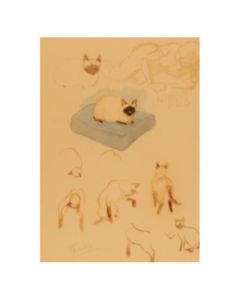 Tintin Moulinsart Museum Postcard 17,5x12,5cm - 80610 CB Illustration Chats