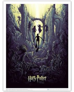 Poster Harry Potter & The Watery Challenge Art Print 58x48 cm
