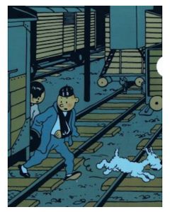 Tintin Cartoleria 15141 Plastic Sleeves - A4 Lotus p51