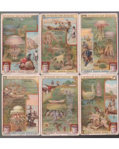 Fig_lbg 943 De - Nel Regno delle meduse