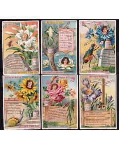 Fig_lbg 1021 It - Nel regno di flora