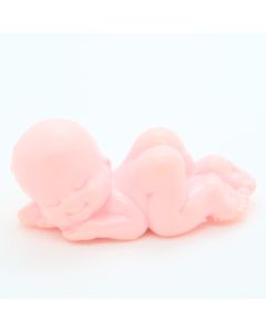 GIG Paciocchini 1983 El Greco - 10 Tesorina Rosa