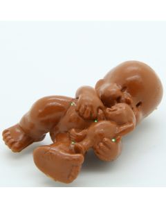 GIG Paciocchini 1983 El Greco - 45 Trottolino Marrone