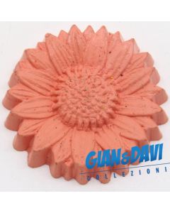 MB_C_FDP Crisantemo Rosa