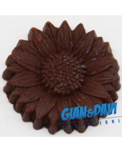 MB_C_FDP Crisantemo Marrone