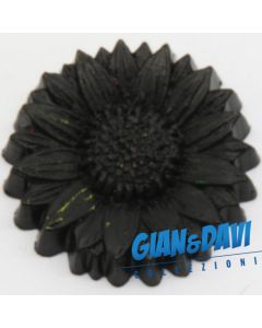 MB_C_FDP Crisantemo Nero