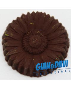 MB_C_FDP Gerbera Marrone