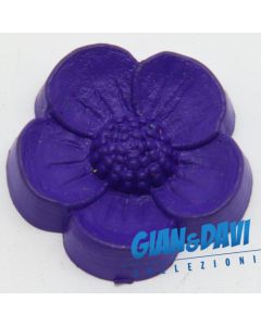 MB_C_FDP Myosotis Viola