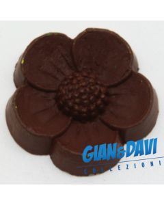 MB_C_FDP Myosotis Marrone