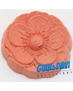 MB_C_FDP Ranucolo d'acqua Rosa