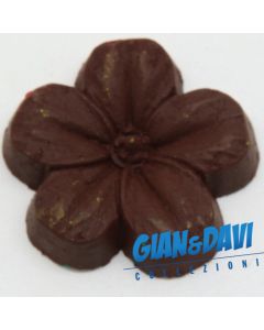 MB_C_FDP Viola Marrone