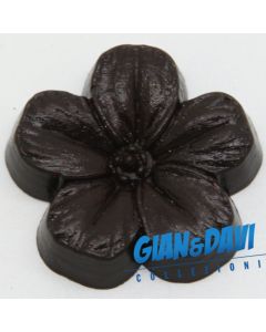 MB_C_FDP Viola Marrone Scuro