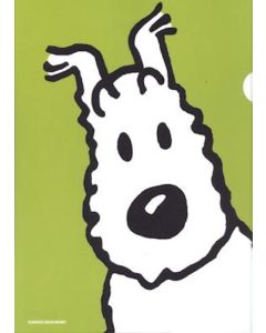 Tintin Cartoleria 15120 Plastic Sleeves - A4 Snowy Green