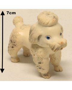 GVPM Squib Barboncino A