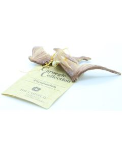 Schleich Dinosaurs 15414 Pteranodon a Carnegie Collection USATO