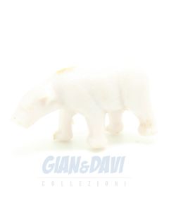 Orso Bianco