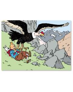 Tintin Moulisart Poster 20240 Condor poster 70x50cm