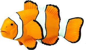 204129 Clown Anemonefish