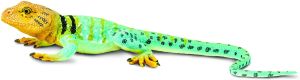 271029 collared Lizard 20CM