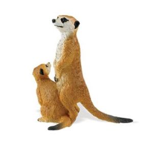 227929 Meerkats