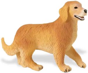 238929 Golden Retriever