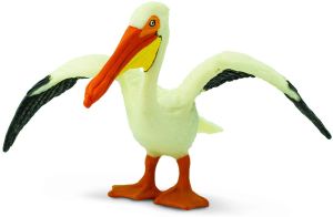 241829 White Pelican