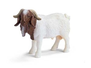 Schleich Farm Life 13258 Boer Billy