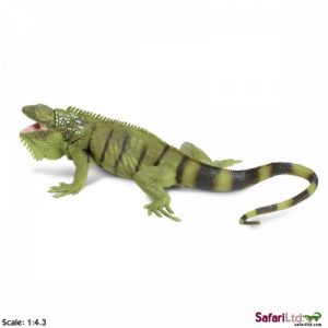 267729 IGUANA 26CM