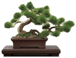 Platz The Bonsai Plastic Model Kit Bon-01 Matsu