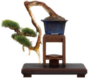 Platz The Bonsai Plastic Model Kit Bon-03 Shinpaku