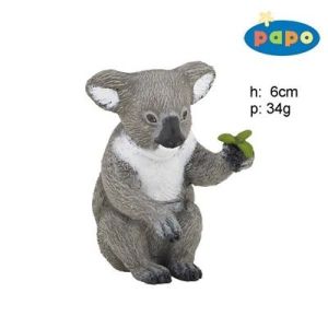 50111 KOALA